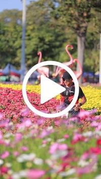 BIB:  <button type="button" onclick="openModal(27588500)" class="btn btn-primary btn-sm float-right" data-toggle="modal" data-target=".modal-high-quality">
                <i class="fa fa-download"></i> Download
                </button>